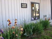Madison County Archives